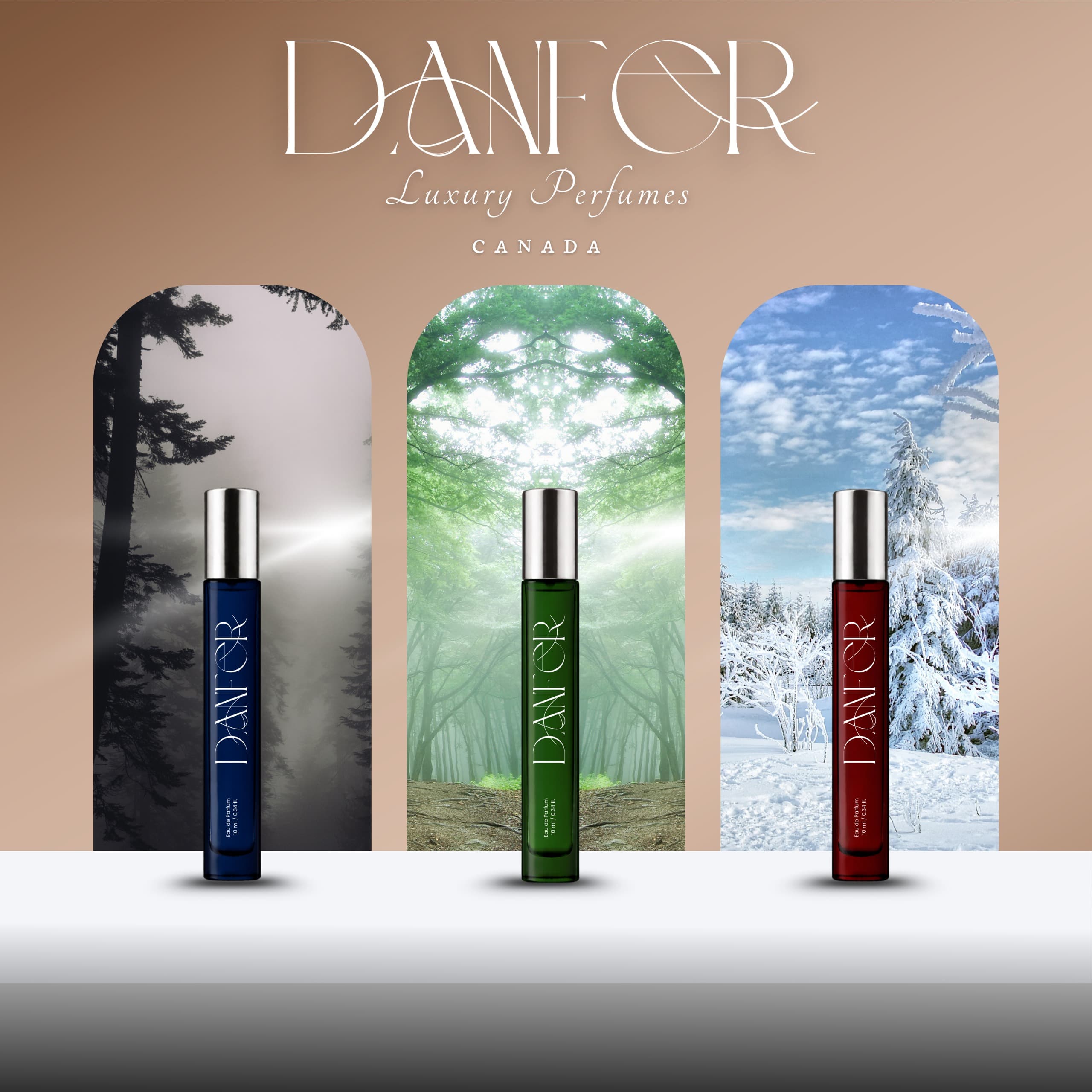 Danfer Studio